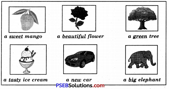 PSEB 5th Class English Solutions Chapter 7 Global Warming 5