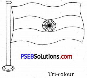 PSEB 5th Class English Solutions Chapter 8 A Glimpse From History 5