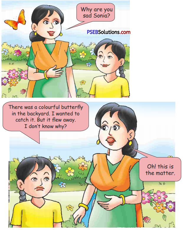 PSEB 5th Class English Solutions Chapter 9 Safe Circle 6