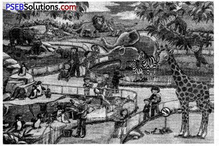 PSEB 6th Class English Composition Creative Writing 3