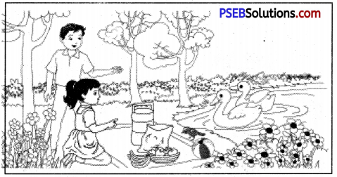 PSEB 6th Class English Composition Creative Writing 6