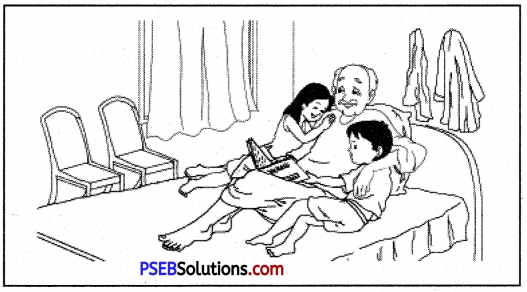 PSEB 6th Class English Composition Creative Writing 9