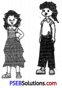 PSEB 6th Class English Grammar Adjectives 3