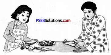 PSEB 6th Class English Grammar Adjectives 5