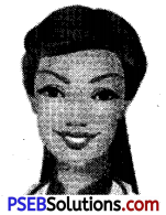 PSEB 6th Class English Grammar Articles 2