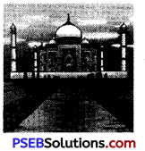 PSEB 6th Class English Grammar Articles 4