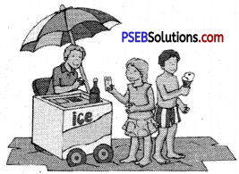 PSEB 6th Class English Grammar Conjunction 3