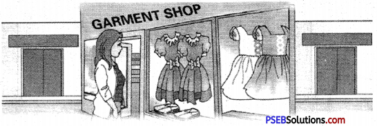 PSEB 6th Class English Grammar Conjunction 4