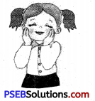 PSEB 6th Class English Grammar Noun 10