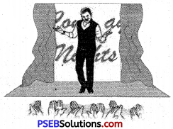 PSEB 6th Class English Grammar Noun 13