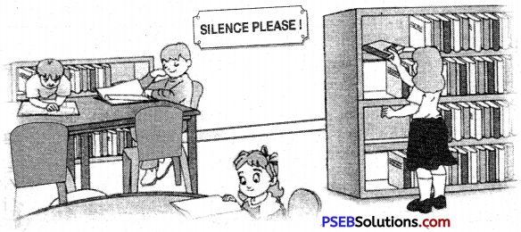 PSEB 6th Class English Grammar Noun 16