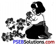 PSEB 6th Class English Grammar Noun 17