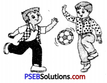 PSEB 6th Class English Grammar Noun 2