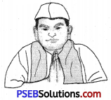 PSEB 6th Class English Grammar Noun 21