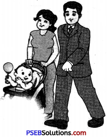 PSEB 6th Class English Grammar Noun 25