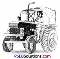 PSEB 6th Class English Grammar Noun 4