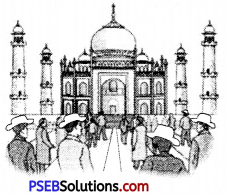 PSEB 6th Class English Grammar Noun 7