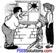 PSEB 6th Class English Grammar Noun 9