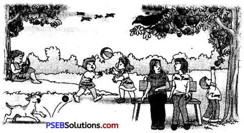 PSEB 6th Class English Grammar Preposition 6