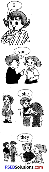 PSEB 6th Class English Grammar Pronouns 2