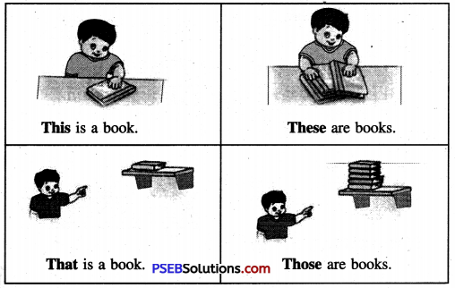 PSEB 6th Class English Grammar Pronouns 3