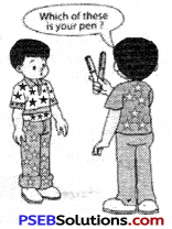 PSEB 6th Class English Grammar Pronouns 5