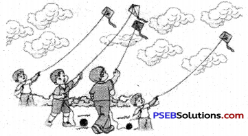 PSEB 6th Class English Grammar Pronouns 6