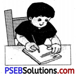 PSEB 6th Class English Grammar Verbs 3