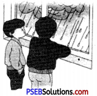 PSEB 6th Class English Grammar Verbs 4