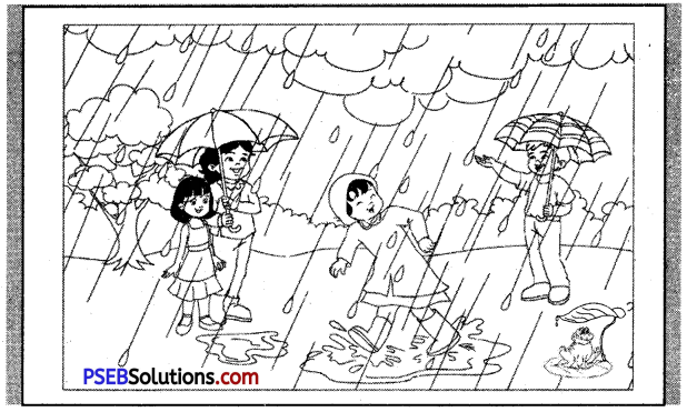 PSEB 6th Class English Reading Comprehension Picture Poster Based 1