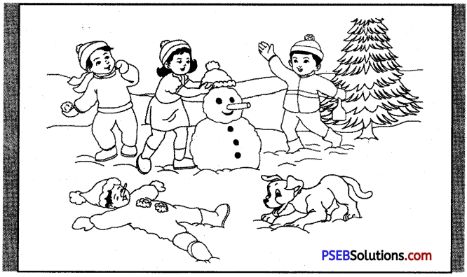 PSEB 6th Class English Reading Comprehension Picture Poster Based 6