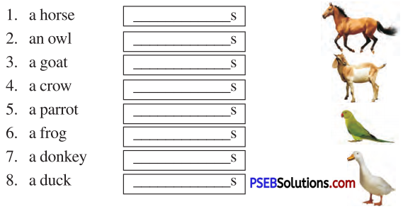 PSEB 6th Class English Solutions Chapter 1 The Farmhouse Cows 1