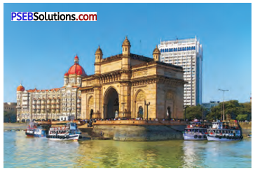 PSEB 6th Class English Solutions Chapter 1 The Farmhouse Cows 4