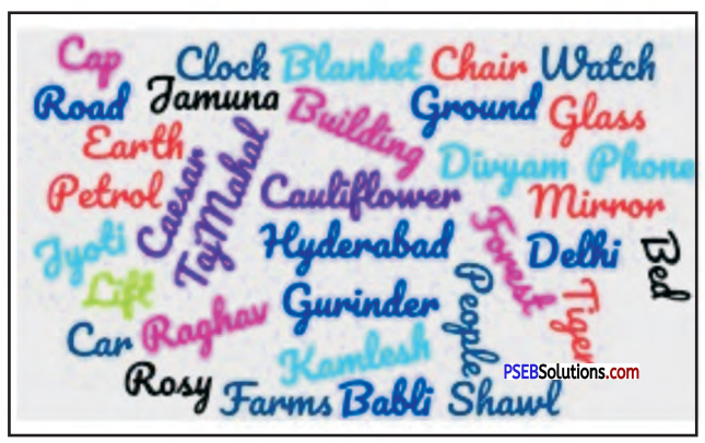 PSEB 6th Class English Solutions Chapter 1 The Farmhouse Cows 5