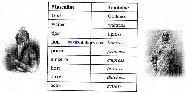 PSEB 6th Class English Solutions Chapter 2 The Lake of the Moon 5