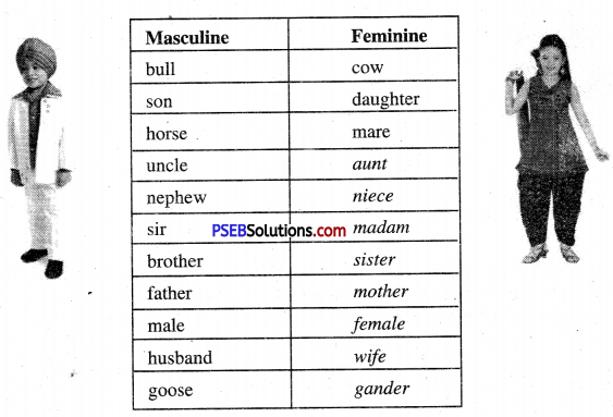 PSEB 6th Class English Solutions Chapter 2 The Lake of the Moon 6