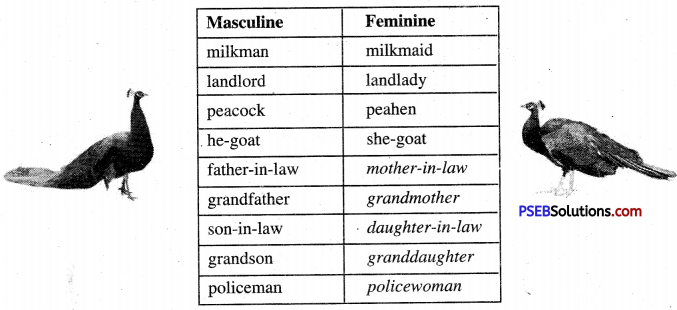 PSEB 6th Class English Solutions Chapter 2 The Lake of the Moon 7