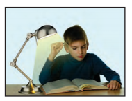 PSEB 6th Class English Solutions Chapter 3 The Giving Tree 2