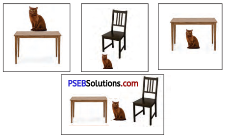 PSEB 6th Class English Solutions Chapter 4 The Peacock and the Crow 3