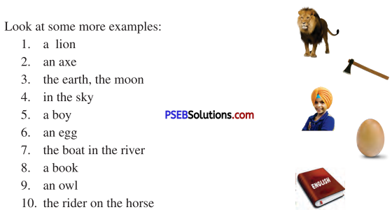 PSEB 6th Class English Solutions Chapter 5 Playing Kabaddi 1