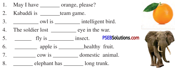 PSEB 6th Class English Solutions Chapter 5 Playing Kabaddi 2