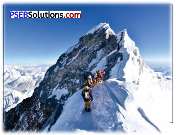 PSEB 6th Class English Solutions Chapter 8 Rosy’s meeting with Nessy 2