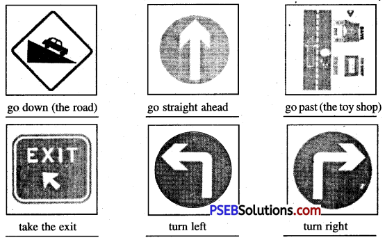 PSEB 6th Class English Solutions Chapter 8 Rosy’s meeting with Nessy 4