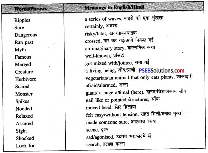 PSEB 6th Class English Solutions Chapter 8 Rosy’s meeting with Nessy 5