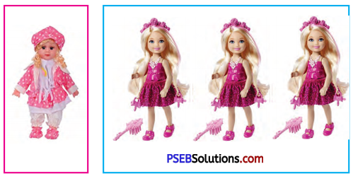 PSEB 6th Class English Solutions Poem 1 My Furry Friend 2