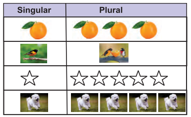 PSEB 6th Class English Solutions Poem 1 My Furry Friend 3