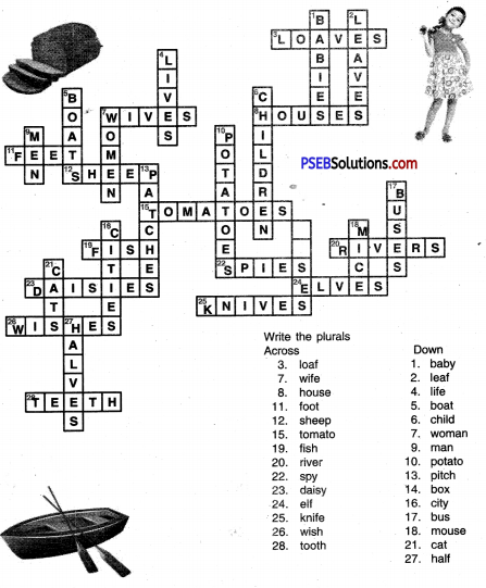 PSEB 6th Class English Solutions Poem 1 My Furry Friend 4