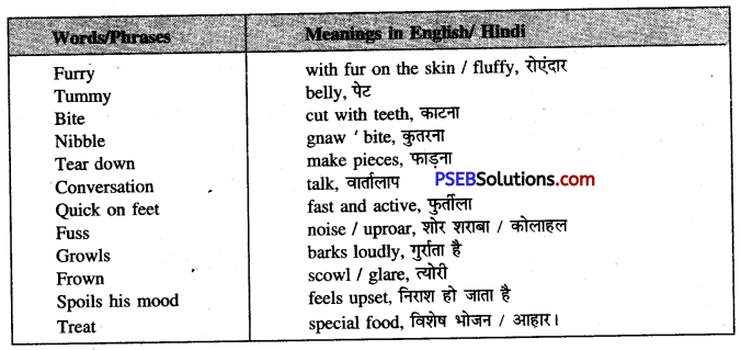 PSEB 6th Class English Solutions Poem 1 My Furry Friend 5