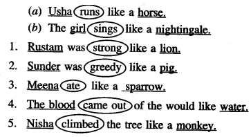 PSEB 6th Class English Solutions Poem 2 How Beautiful is the Rain! 1