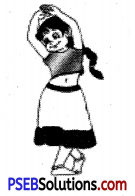 PSEB 6th Class English Vocabulary Punctuation 6